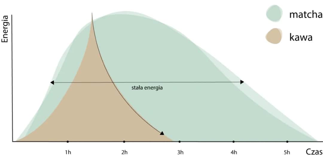 Czy matcha pobudza tak jak kawa? Odkryj różnice i efekty