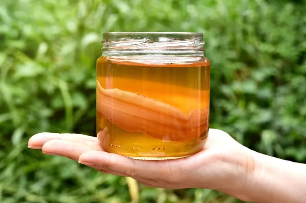 Kombucha na co jest dobra? Odkryj jej niezwykłe właściwości zdrowotne