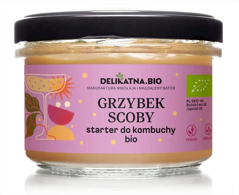 Gdzie kupić grzyb herbaciany do kombuchy? Sprawdź najlepsze miejsca