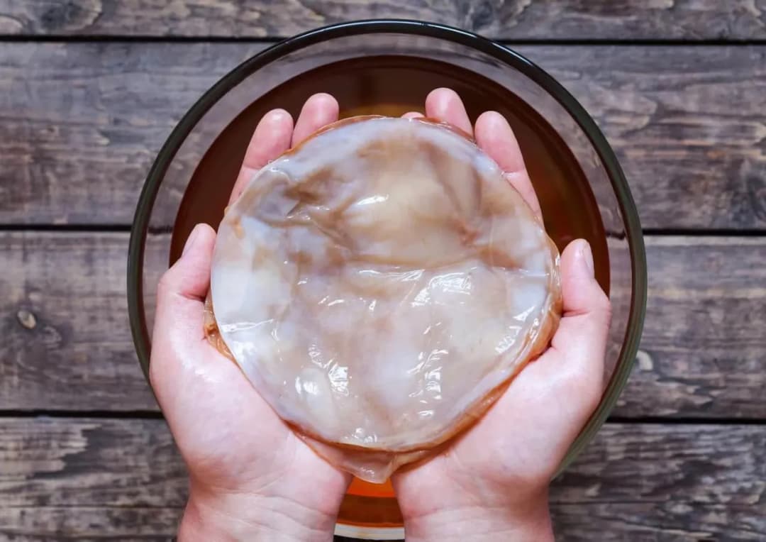 Gdzie kupić grzybek kombucha? Sprawdzone miejsca i najlepsze oferty