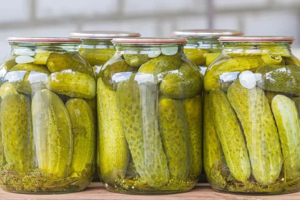 Czy można pasteryzować ogórki kiszone? Poznaj skutki i alternatywy Czy można pasteryzować ogórki kiszone? Poznaj skutki i alternatywy
