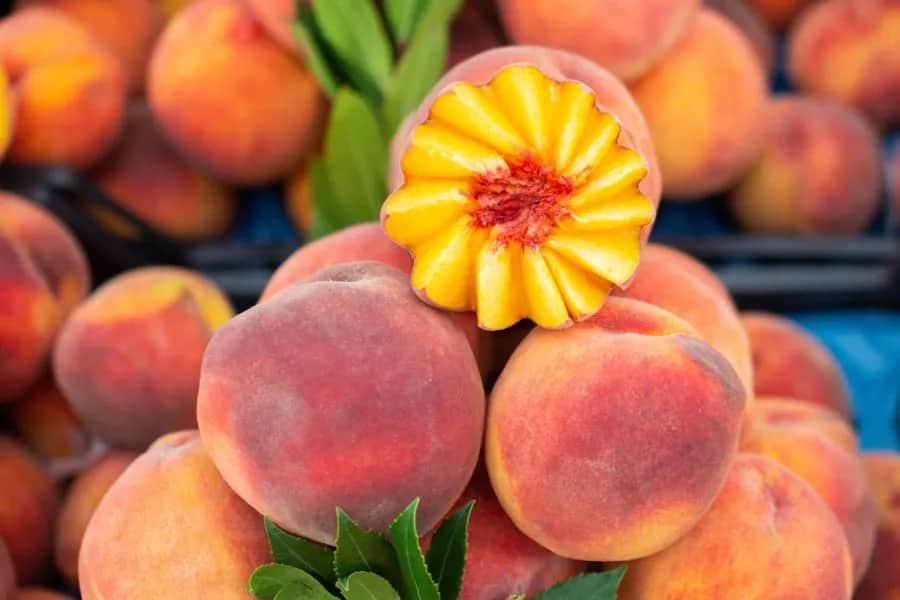 Ile kalorii mają brzoskwinie? Poznaj zaskakujące wartości odżywcze Ile kalorii mają brzoskwinie? Poznaj zaskakujące wartości odżywcze