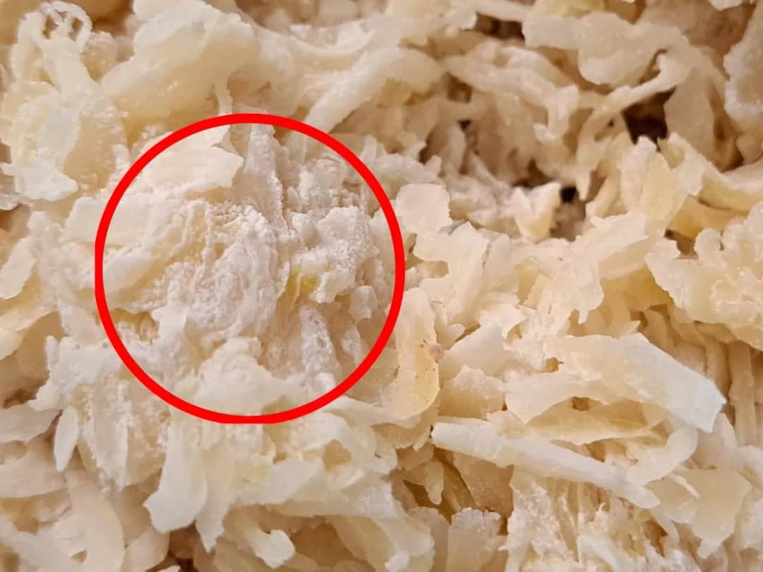 Pleśń na kapuście kiszonej co robić? Jak uniknąć problemów zdrowotnych