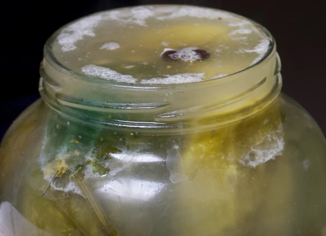 Co daje gorczyca w ogórkach kiszonych? Smak, zdrowie i konserwacja