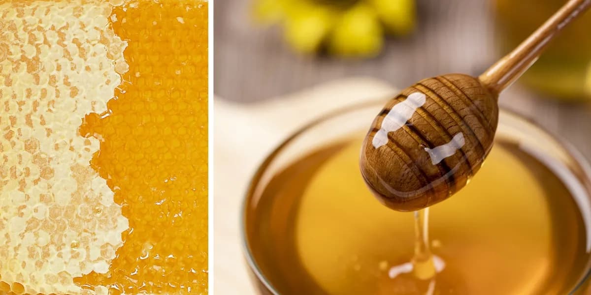 Jak zrobić żeby miód był płynny - skuteczne metody i porady